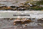 包含wta球员表演的词条