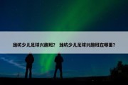 潍坊少儿足球兴趣班？ 潍坊少儿足球兴趣班在哪里？