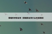 荣耀秋季排名榜（荣耀排名榜什么时候更新）