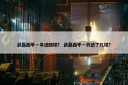 武磊西甲一年进四球？ 武磊西甲一共进了几球？