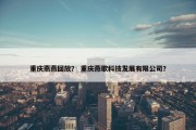 重庆燕燕回放？ 重庆燕歌科技发展有限公司？