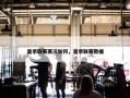 夏季联赛赛况如何，夏季联赛数据