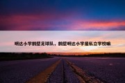 明达小学鹤壁足球队，鹤壁明达小学是私立学校嘛