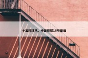 十五排球队，中国排球15号是谁
