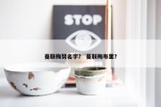 曼联梅努名字？ 曼联梅布里？