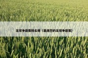 足球争霸赛排名规（最激烈的足球争霸赛）