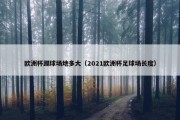 欧洲杯踢球场地多大（2021欧洲杯足球场长度）