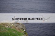 fm2017属性设定（fm2017怎么样）