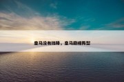 皇马没有挡锋，皇马巅峰阵型