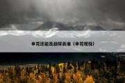 申花还能出战球员谁（申花现役）