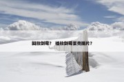 回放倒霉？ 播放倒霉蛋壳图片？