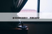 皇马巴西球员照片？ 巴西队皇马？