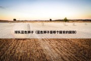 球队蓝色狮子（蓝色狮子是哪个国家的国旗）