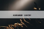 大东职业联赛？ 大东打球？