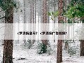 c罗清扬皇马？ c罗清扬广告视频？