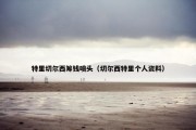 特里切尔西筹钱喷头（切尔西特里个人资料）