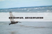 居莱尔欧洲杯进球，居莱尔欧洲杯进球视频