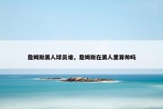 詹姆斯黑人球员谁，詹姆斯在黑人里算帅吗