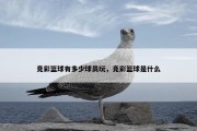 竞彩篮球有多少球员玩，竞彩篮球是什么