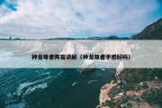 神龙尊者阵容讲解（神龙尊者手感好吗）