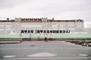 西甲大军（西甲大名单到底多少人）