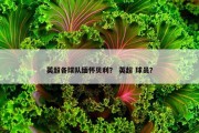 英超各球队缅怀贝利？ 英超 球员？