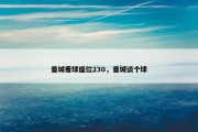 曼城看球座位230，曼城谈个球