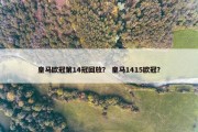 皇马欧冠第14冠回放？ 皇马1415欧冠？