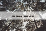 英超奖杯绸带（英超金色奖杯）