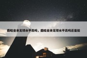 鹿晗业余足球水平高吗，鹿晗业余足球水平高吗还是低