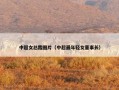 中超女总裁图片（中超最年轻女董事长）