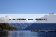 FM2017小球队助教，fm2017最强教练团队