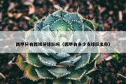 西甲只有西班牙球队吗（西甲有多少支球队名称）