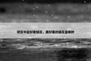 现实中超好看烟花，最好看的烟花是哪种
