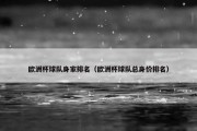 欧洲杯球队身家排名（欧洲杯球队总身价排名）