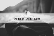 卢卡斯球员？ 卢卡斯什么水平？