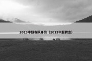 2013中超各队身价（2013中超转会）