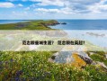 范志毅曼城生涯？ 范志毅在英超？