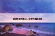 欧洲杯宵夜美团，欧洲杯美团活动