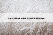 沈阳卖足球地方有哪些（沈阳买足球鞋的地方）