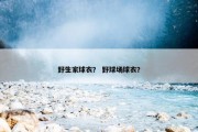 野生家球衣？ 野球场球衣？
