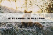 拜仁慕尼黑狂胜回放？ 拜仁慕尼黑比赛视频？