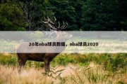20年nba球员数据，nba球员2020