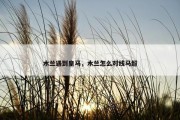 木兰遇到皇马，木兰怎么对线马超