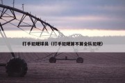 打手犯规球员（打手犯规算不算全队犯规）