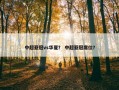 中超亚冠vs华夏？ 中超亚冠席位？