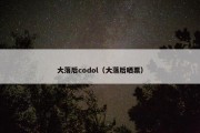 大落后codol（大落后晒票）