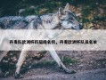 丹麦队欧洲杯历届排名榜，丹麦欧洲杯队员名单