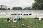 欧洲杯主力名单，欧洲杯 名单