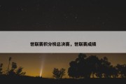 世联赛积分榜总决赛，世联赛成绩